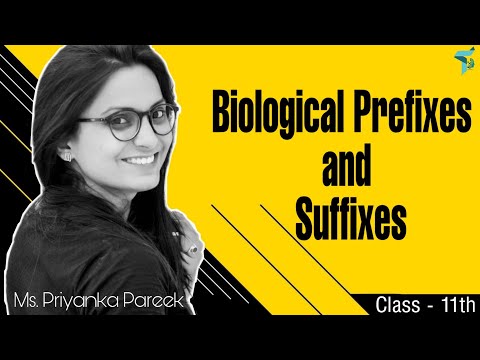 Biological Prefixes and Suffixes for the Biology Olympiad || Root Words Of Biology