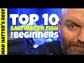 Top 10 Saltwater Fish For Beginners