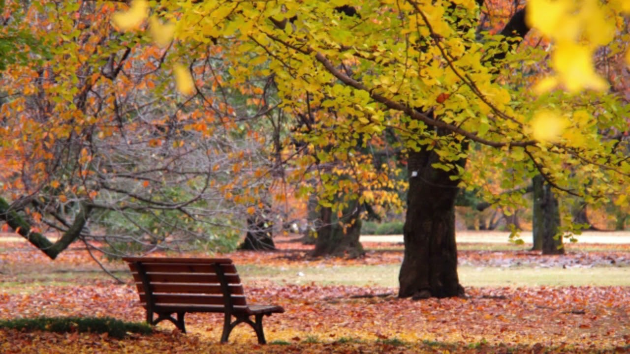 ケテルビー 金色の秋 ナクソス クラシック キュレーション おしゃれ Albert William Ketelbey Golden Autumn Youtube