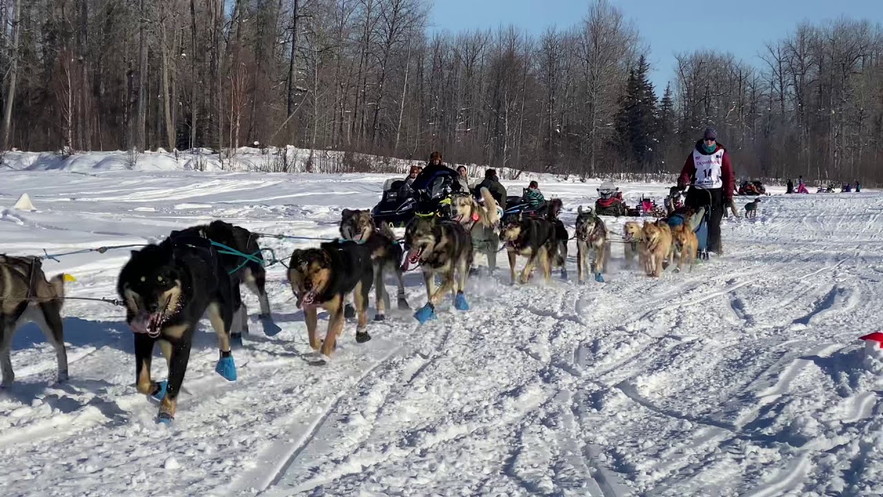 IDITAROD 2021 Ryne Olson Bib #14 Start From the Trail