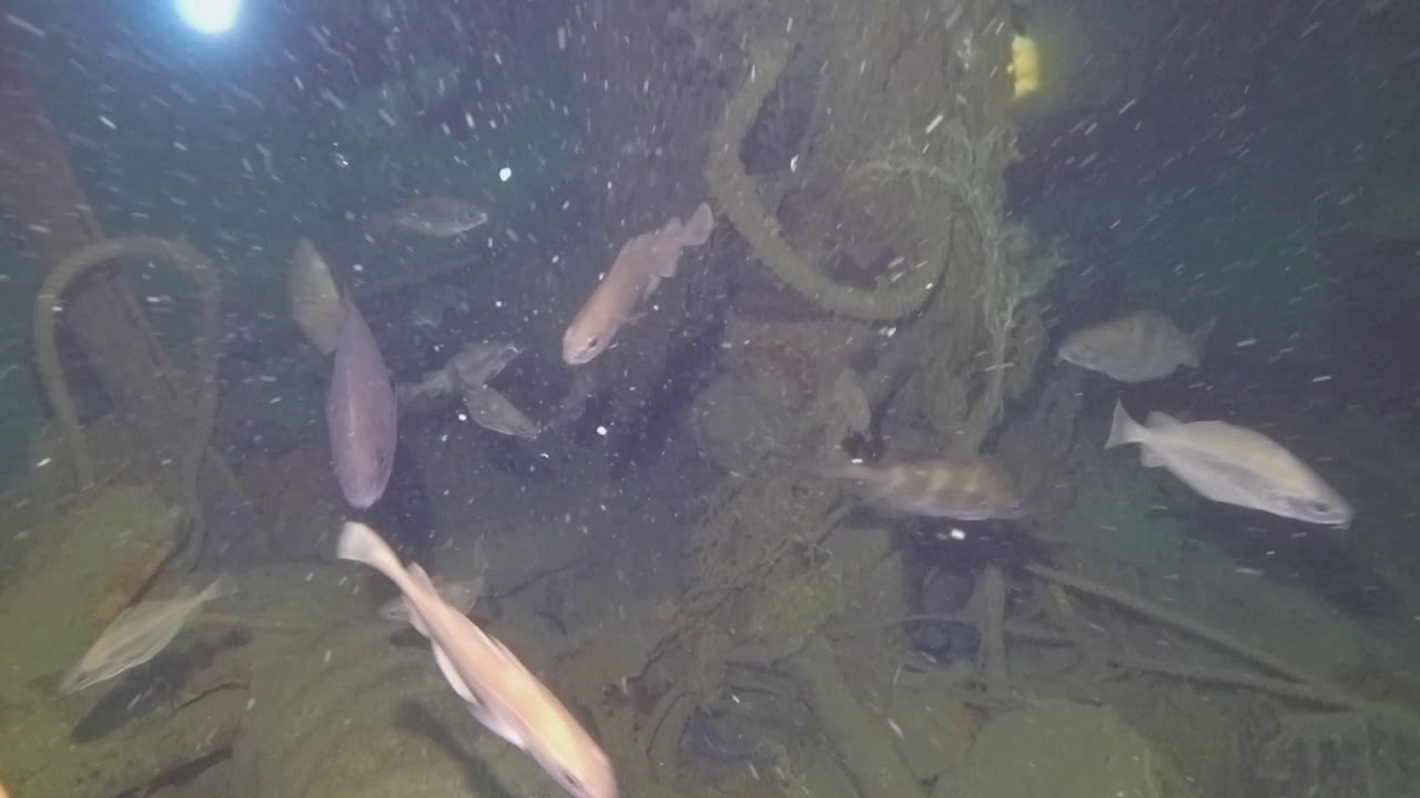 Le M-4451 x Gauleiter Alfred Meyer (Frigolin) 06 2018