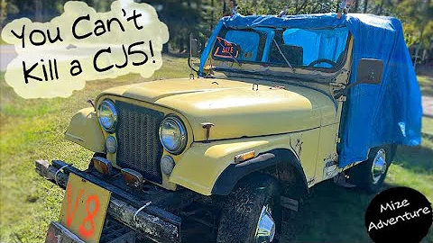 Buying One Owner 304 V8 Jeep CJ5 To Make It Roadworthy #automobile #jeep #repair