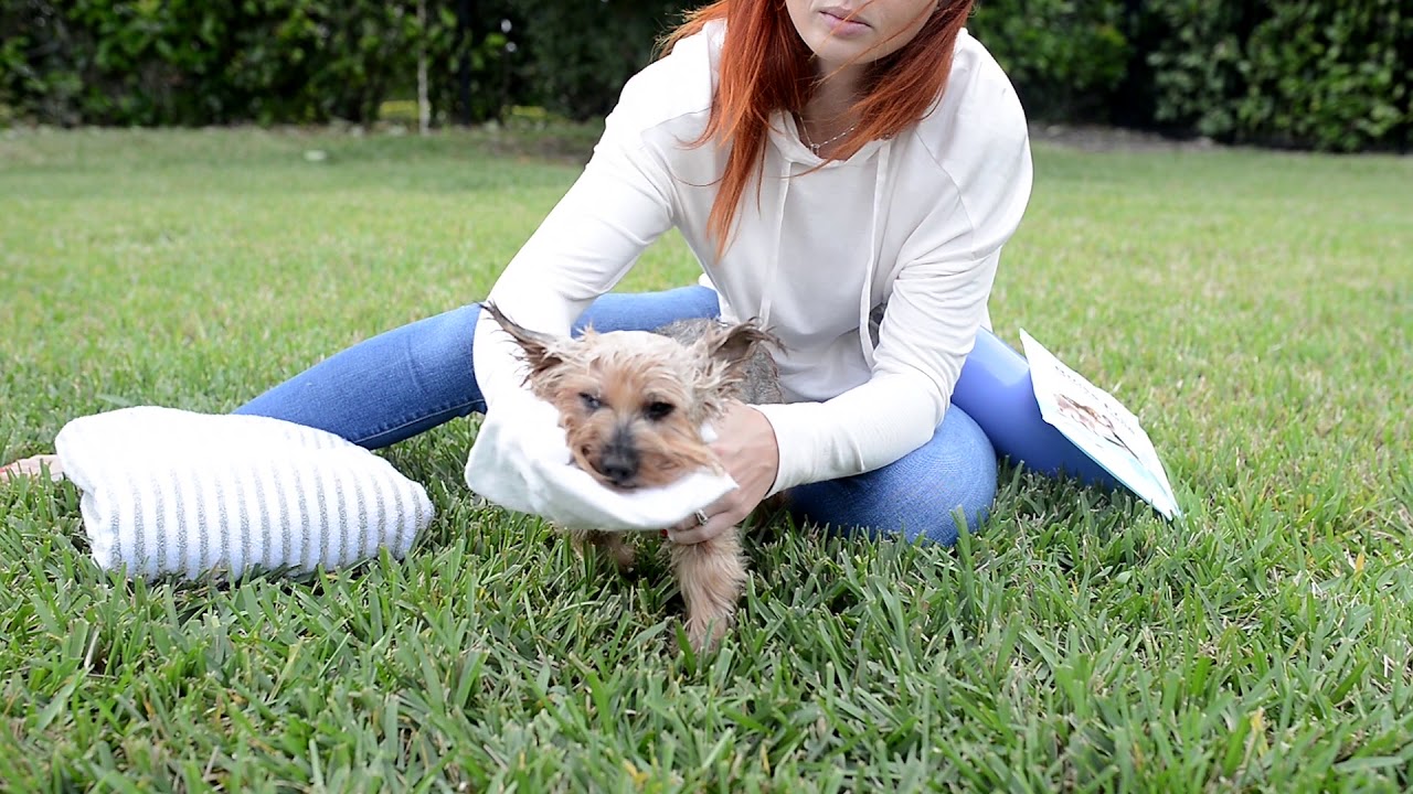 Scrubby Instant Bath for Pets