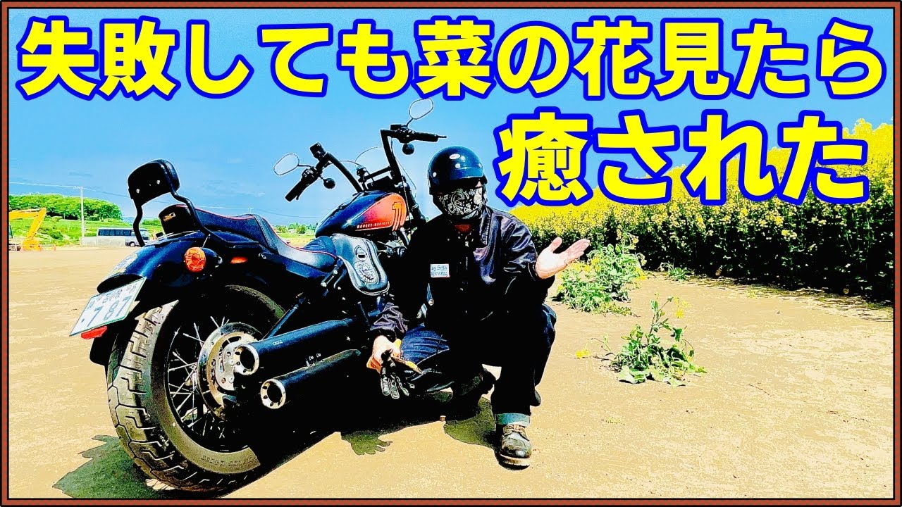 Harley-Davidson】FP4でfxbbsのオートチューンしたが!?ま〜菜の花見