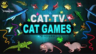 CAT GAMES -🐠 CATCHING FISH VIDEOS FOR CATS TO WATCH ULTIMATE CAT TV COMPILATION 4K UHD 60 FPS screenshot 4