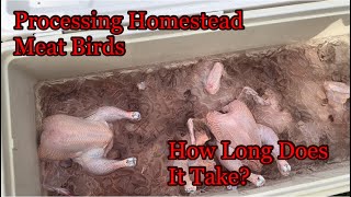 Processing Homestead Meat Birds, How long does it take?