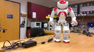 Nao running a test program