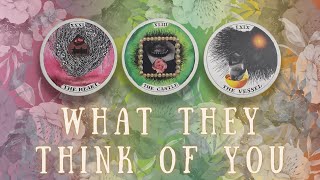 🤔 What Do They Think About You??? 💞  PICK-A-CARD