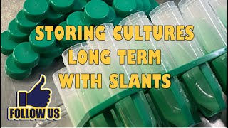 Storing mushroom cultures long term with slants, best practices storing slants and culture care