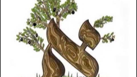 The Aleph Beis Song   Official Video   YouTube