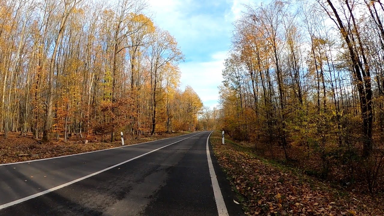 Autumn 🚴🏽‍♂️🍂🍁🌞 Fat Burning Indoor Cycling Workout Ultra HD Video