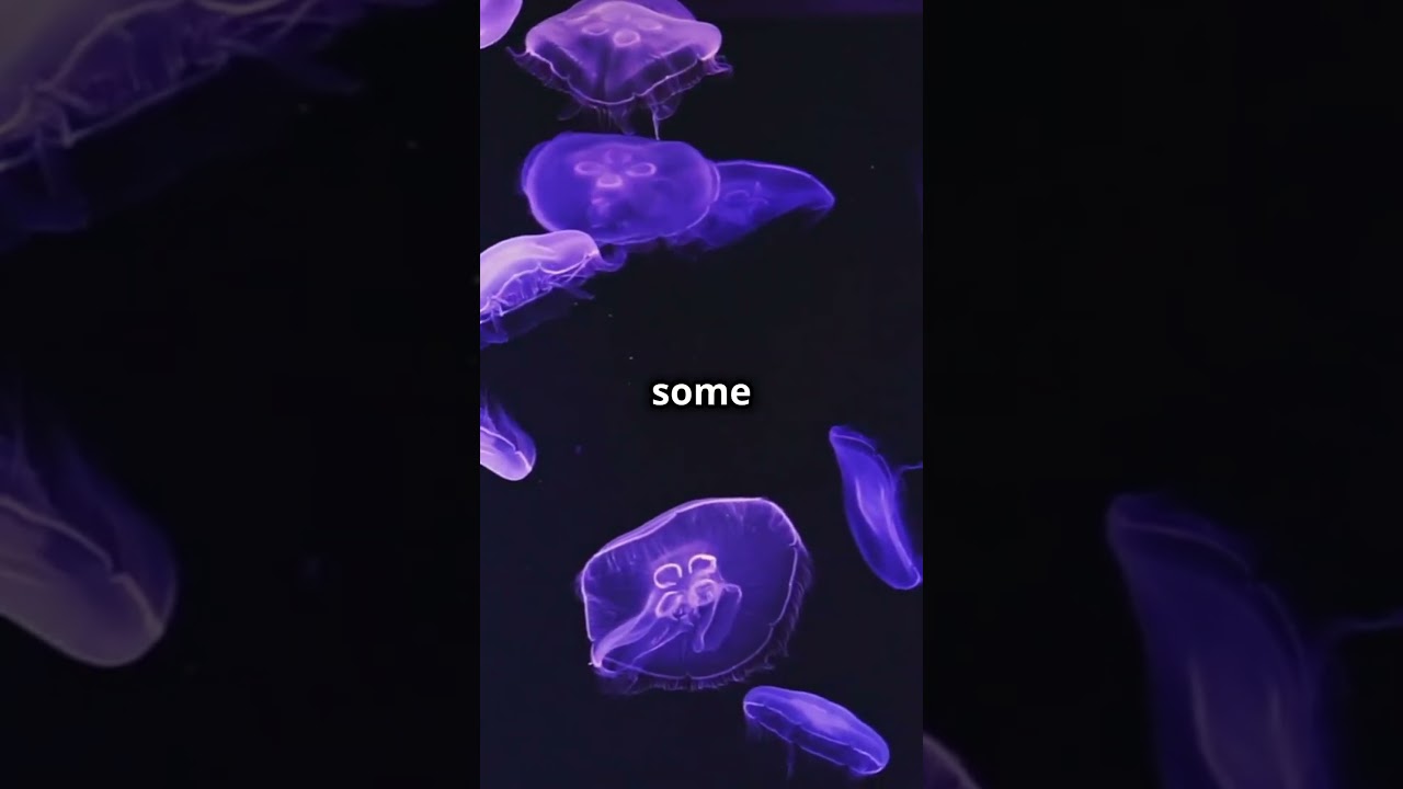 How Do Jellyfish Glow? | Quick Nature Explained 