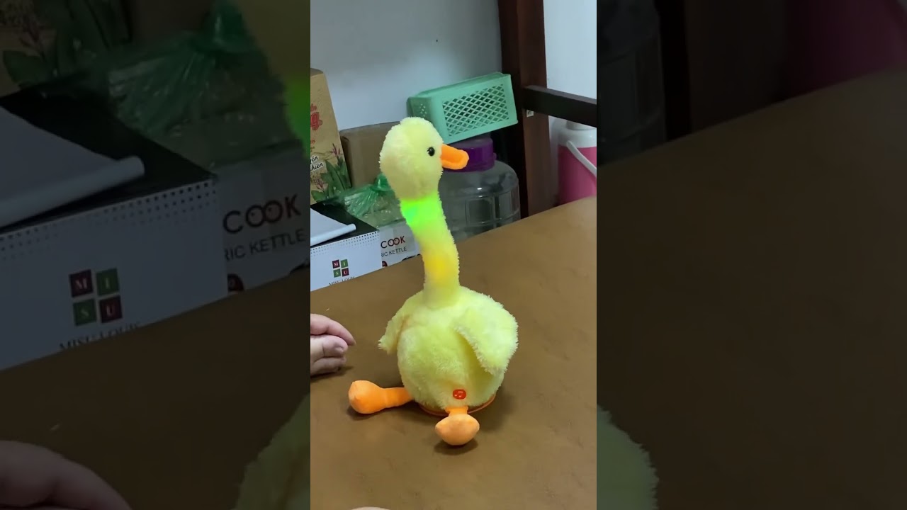 Duck toy music 