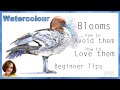 Watercolour Blooms // How to avoid them, How to use them // Beginners Tips