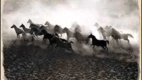 ادريس ابكر سورة العاديات كامله YouTube