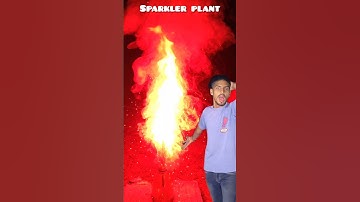 🌠 Sparkle Plant Creation That Shines Like Fireworks! 🌿💥 | #trendingshorts #experiment #viralshort