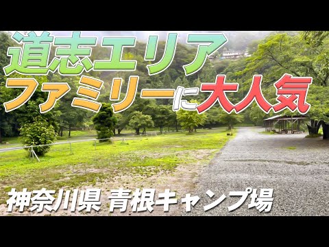 【キャンプ場紹介】道志エリアでファミリーに大人気なキャンプ場といえば…？～青根キャンプ場～