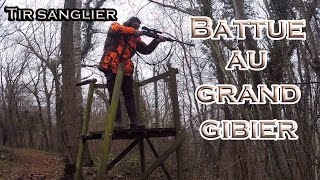 Battue au grand gibier - Tir sanglier et martre en battue !