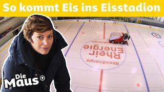Wie kommt das Eis ins Eisstadion? | DieMaus | WDR