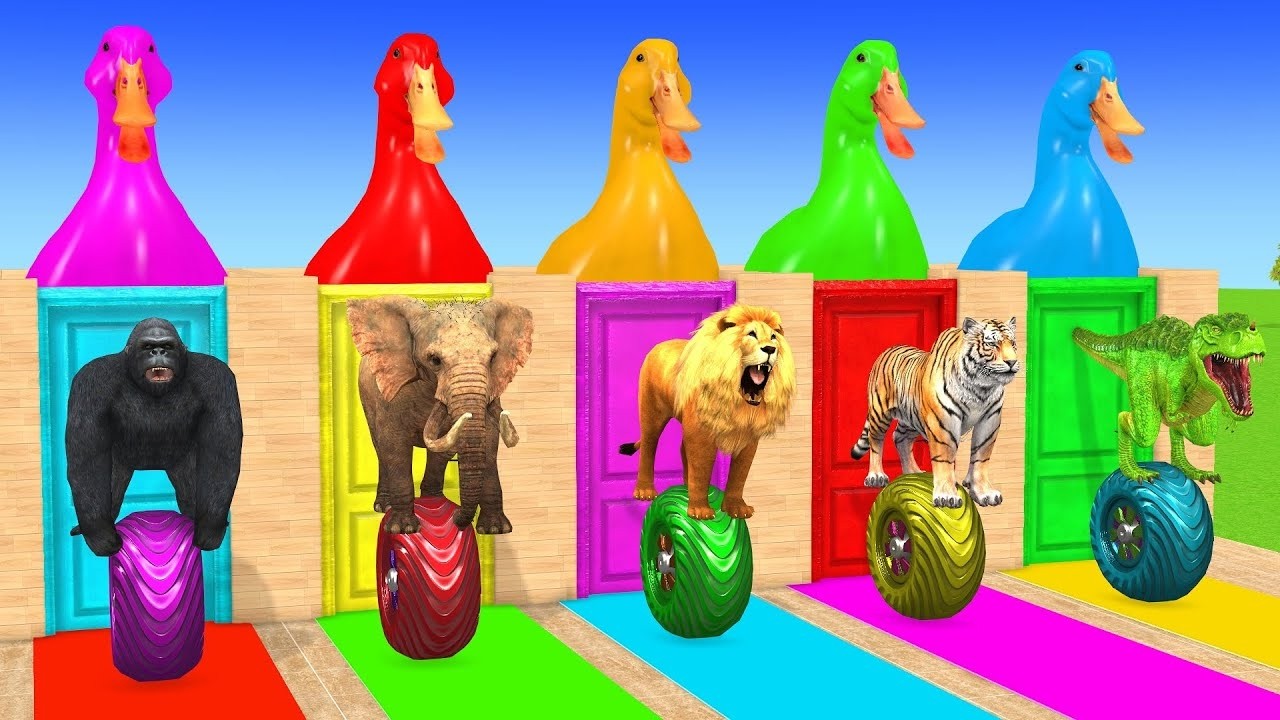 Long Slide Game With Cow Elephant Gorilla Hippopotamus Tiger 3d Animal Game Funny 3d AnimalsVideo