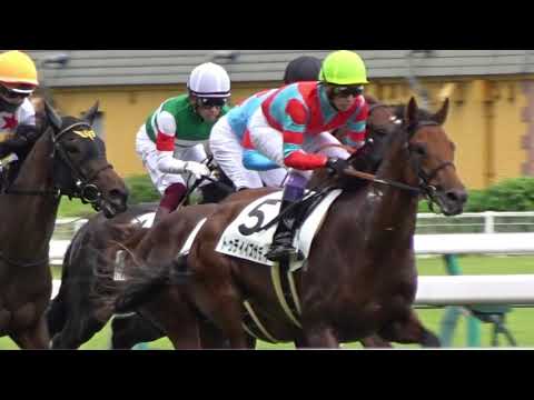 【現地】2021.09.19 中京5R 新馬　トゥデイイズザデイ