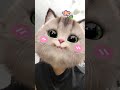 personality ke features 😝😝#cutekitty #funnycats #catvideos #kittyfun #catlover#catlife #meow #viral