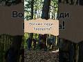 Вогняні ЛЮДИ Геродота! Хто такі Будини насправді?