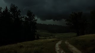 Grassland Thunderstorm Ambience | Sheltering Under a Tree | Calm Before the Storm