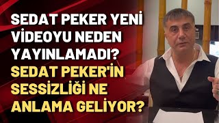 Sedat Peker yeni videoyu neden yayınlamadı? Sedat Peker'in sessizliği ne anlama geliyor?