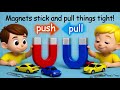 Science is Fun Let's Learn With Buzzy Tune's