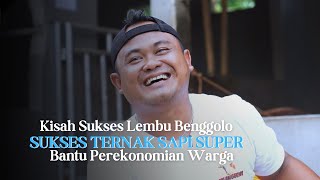 Sukses Ternak Sapi Untuk Membantu Perekonomian Warga Masyarakat Sekitar | Lembu Benggolo Farm