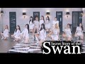 Ab  izone   secret story of the swan   dance cover
