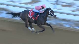 Aqueduct (USA) 13 Feb 2026    Race 7