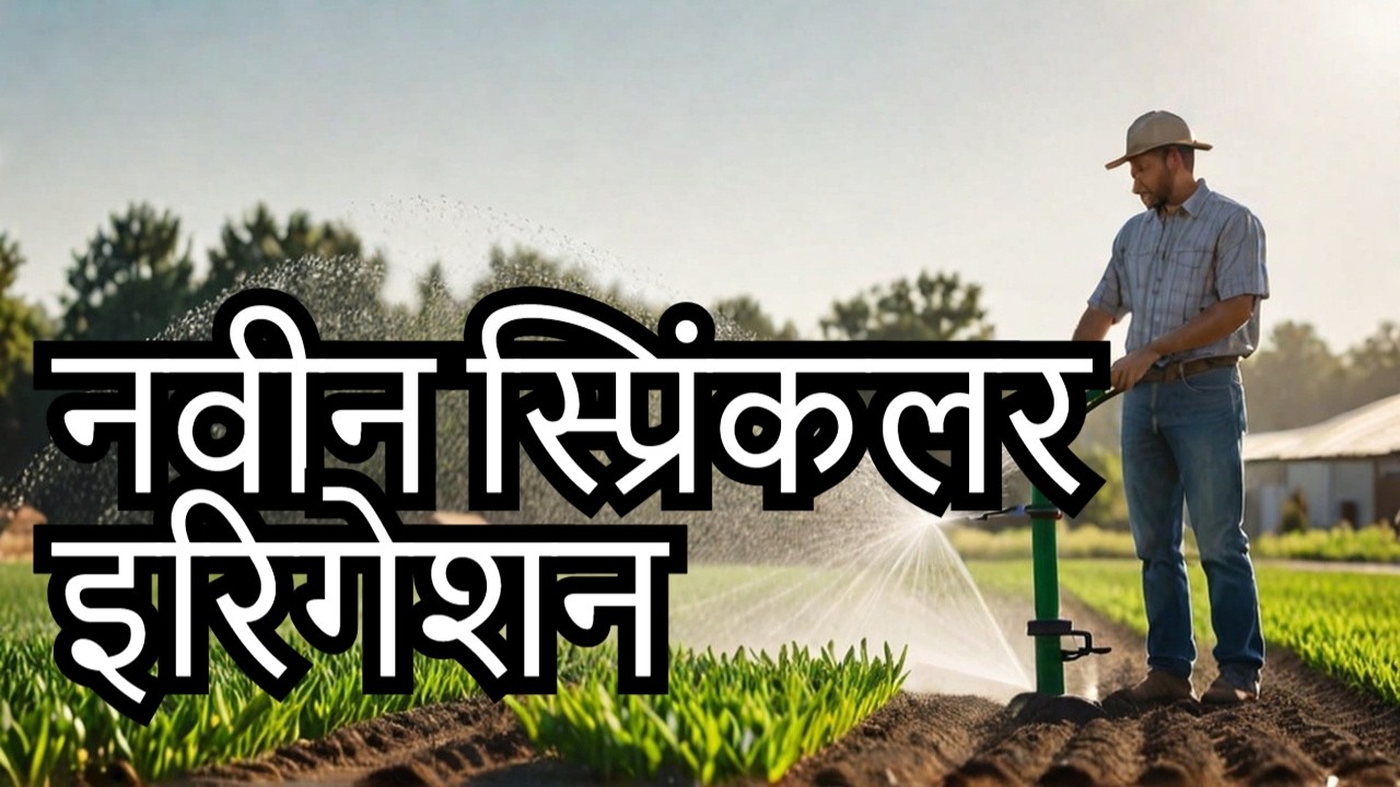 आधुनिक तुषार सिंचन || विना मजूर करा काम ‼️ || गरज नाही उचल / साचल ची || Heera Rain Gun