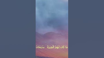 تلاوة ( وربك يخلق ما يشاء و يختار )