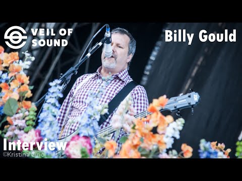 Billy Gould musician photo