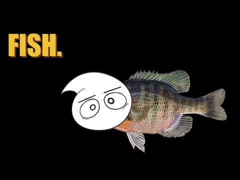 fish