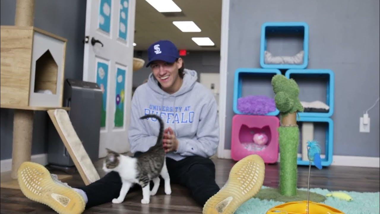 I Went To Home Meaning In Bengali I Went To Home Meaning In Bengali