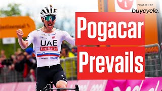 From Crash To Champion: Tadej Pogacar's Turbulent Giro d'Italia 2024 by FloBikes 15,207 views 6 days ago 7 minutes, 29 seconds