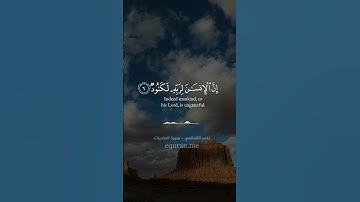 QURAN TRANSLATION - SURAH AL-ADIYAT - تلاوة وترجمة القرآن - سورة العاديات - ناصر القطامي