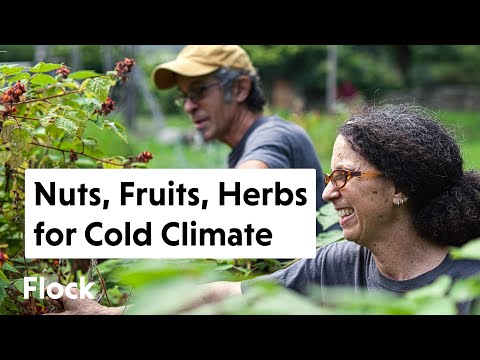 70+ More COLD-HARDY Fruits, Nuts, Herbs, and Ornamentals Tour — Ep. 066