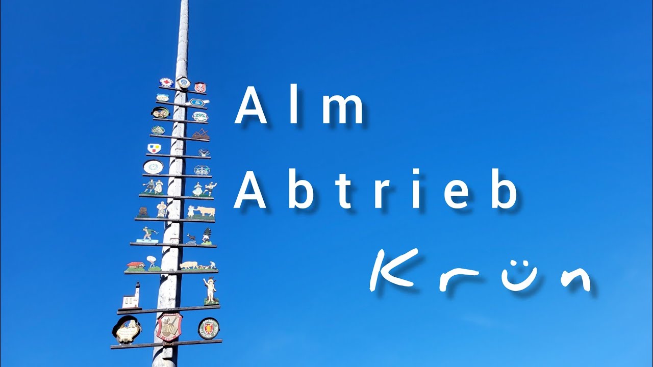 Almabtrieb Celebration in Krün: Decorated Cows & Traditional Festivities