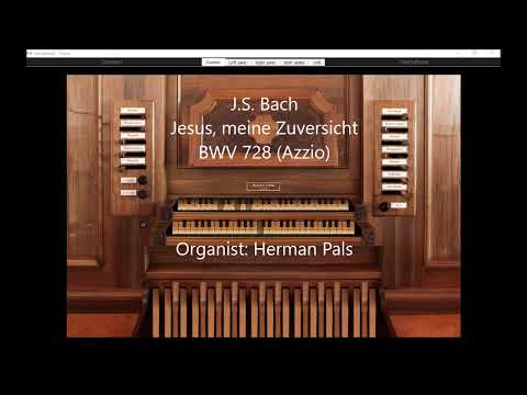 J.S. Bach Jesus,