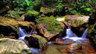 forest river sounds  relaxing water sounds for sleeping  relaxing sounds