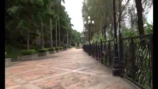 Steady Maker 3 Axis Sony Qx10 Stabilizer