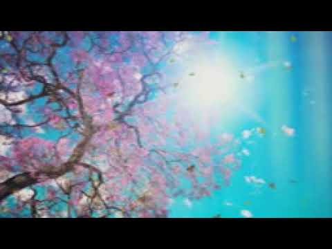 دعاء يا ريتني يا ربي حسين الجسمي راااائع