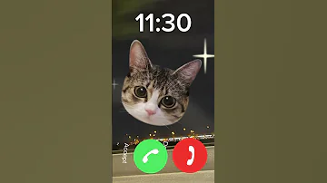 Hello Cat Sounds Good Ringtone 