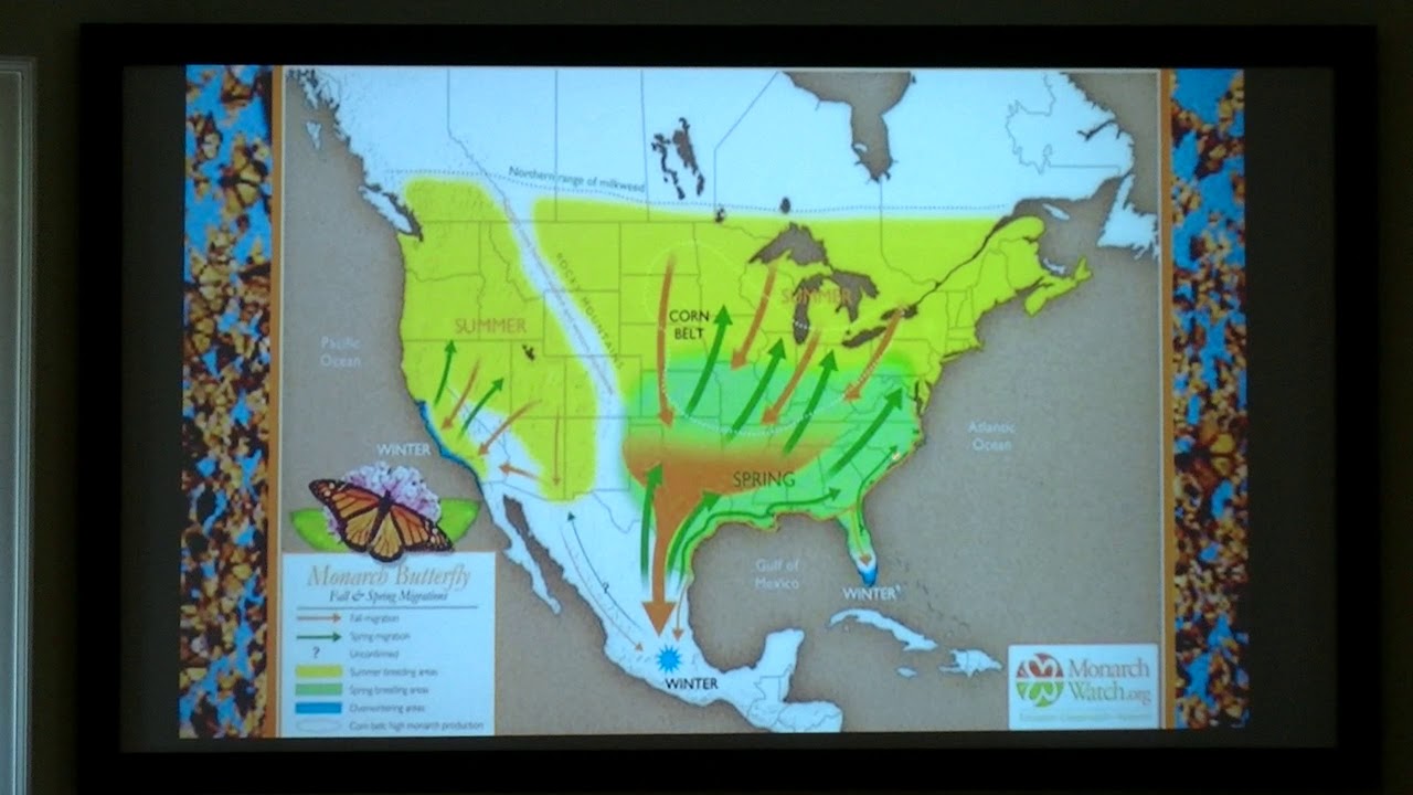 Conserving Carolina/WCP Program "Butterflies in your Backyard"