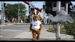 Ryder's Rail Safety Tips
