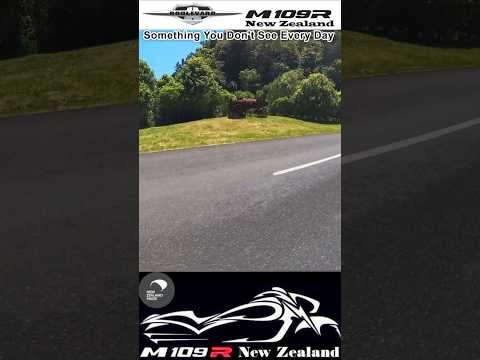 Old Steam Engine You Don't See This Every Day A Blast From The Past